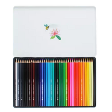 Load image into Gallery viewer, Wonders Of Nature Set Of 36 Pencils