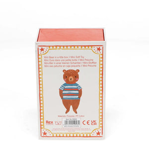 Little Bear In A Little Box