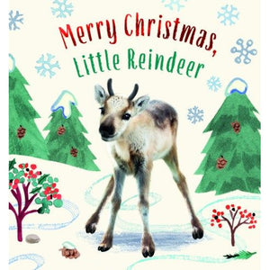 Merry Christmas, Little Reindeer Book