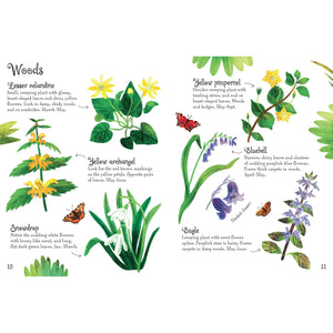 Usborne Minis: Flowers To Spot