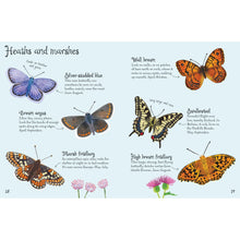 Load image into Gallery viewer, Usborne Minis: Butterflies To Spot