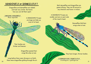 Hello Bugs: A Little Guide To Nature