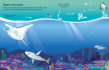 Load image into Gallery viewer, First Sticker Book: Sharks &amp; Rays