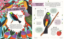 Load image into Gallery viewer, Fly: A Child&#39;s Guide To Birds &amp; How To Spot Them