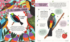 Fly: A Child's Guide To Birds & How To Spot Them