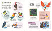 Load image into Gallery viewer, Fly: A Child&#39;s Guide To Birds &amp; How To Spot Them