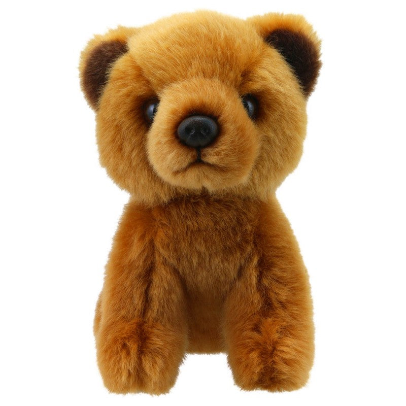 Little Brown Bear Soft Toy