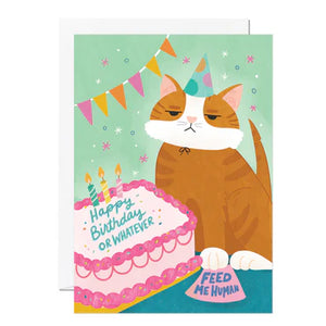 Birthday Cat Card