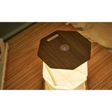 Load image into Gallery viewer, Twist Hexagon Lamp: Walnut