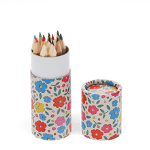 Load image into Gallery viewer, Floral Mini Pencil Pot