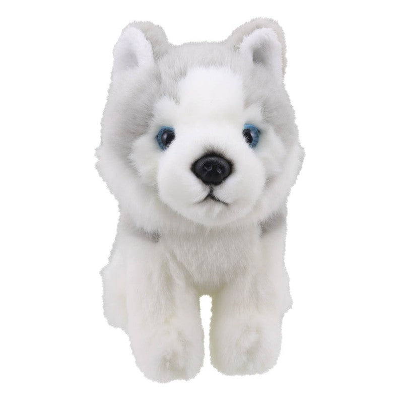 Little Husky Soft Toy