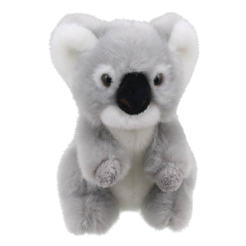 Little Koala Soft Toy