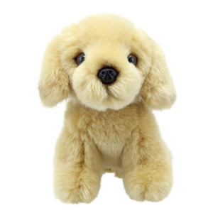 Little Labrador Soft Toy