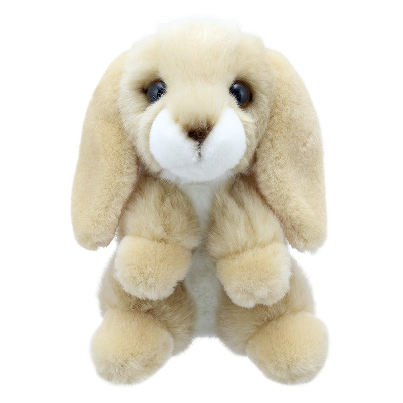 Little Golden Rabbit Soft Toy