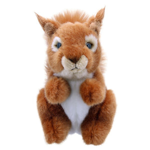 Little Squirrel Soft Toy