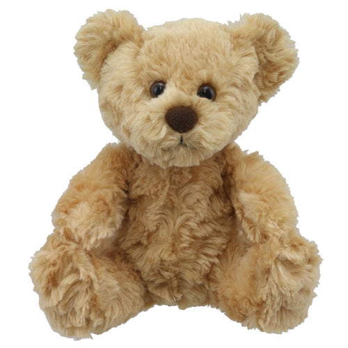 Little Teddy Bear Soft Toy