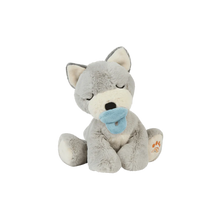 Load image into Gallery viewer, Binky Puppy - Banjo