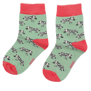 Mint Zebra Bamboo Socks - 2-3 years