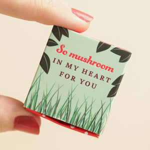 Tiny Matchbox Ceramic Mushroom