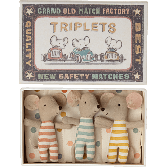 Triplets Baby Mice In Matchbox