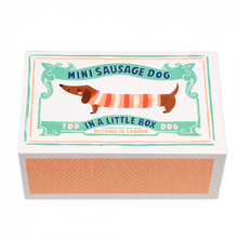 Load image into Gallery viewer, Little Sausage Dog In Matchbox