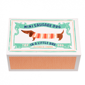 Little Sausage Dog In Matchbox