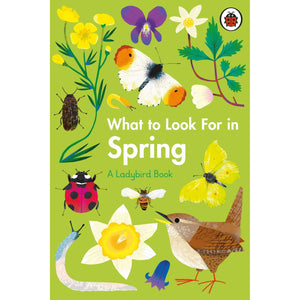 What To Look For In Spring