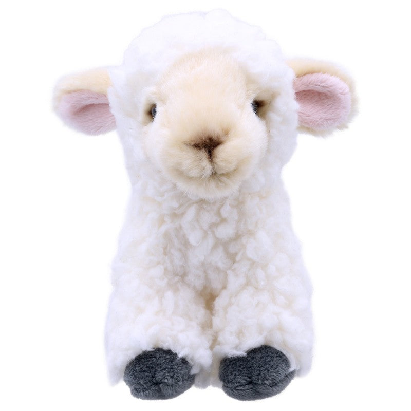 Little Lamb Plush Toy