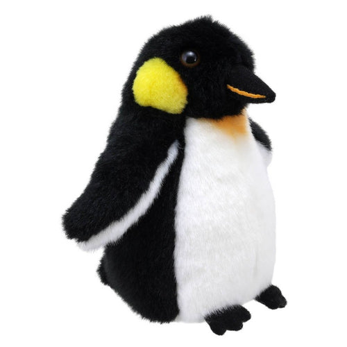 Little Penguin Soft Toy