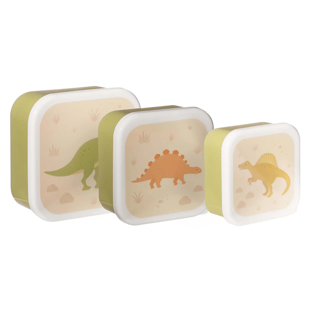 Set Of 3 Desert Dino Lunch Boxes