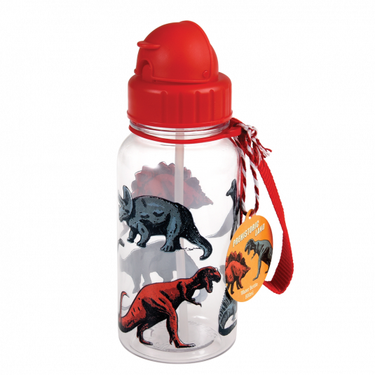 Prehistoric Land Dinosaur Water Bottle