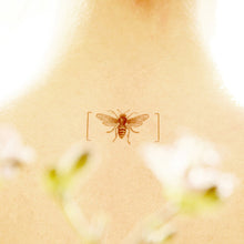 Load image into Gallery viewer, Temporary Tattoos Bees